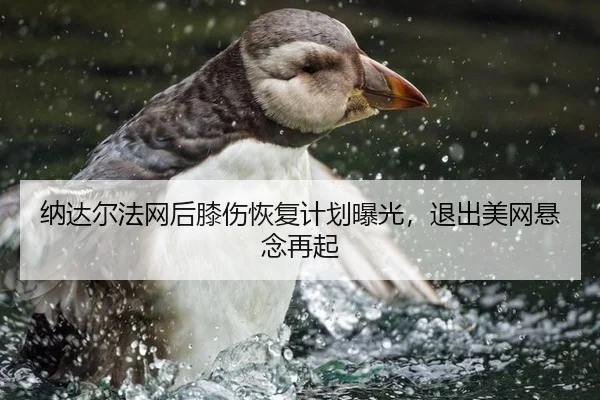 纳达尔法网后膝伤恢复计划曝光，退出美网悬念再起