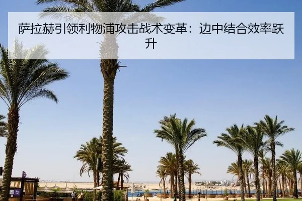sa-la-he-yin-ling-li-wu-pu-gong-ji-zhan-shu-bian-ge-bian-zhong-jie-he-xiao-lv-yue-sheng-3-553.jpg