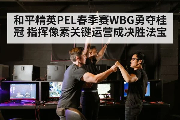 和平精英PEL春季赛WBG勇夺桂冠 指挥像素关键运营成决胜法宝